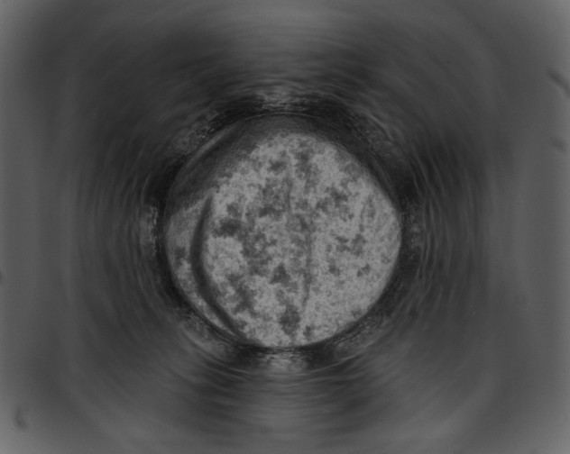 X0000096950275200802291104
