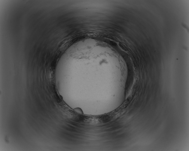 X0000096950276200802291104