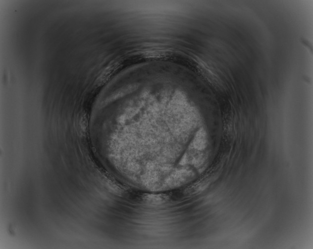 X0000096950277200802291104