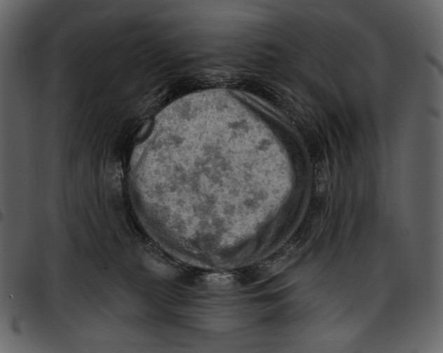 X0000096950279200802291104
