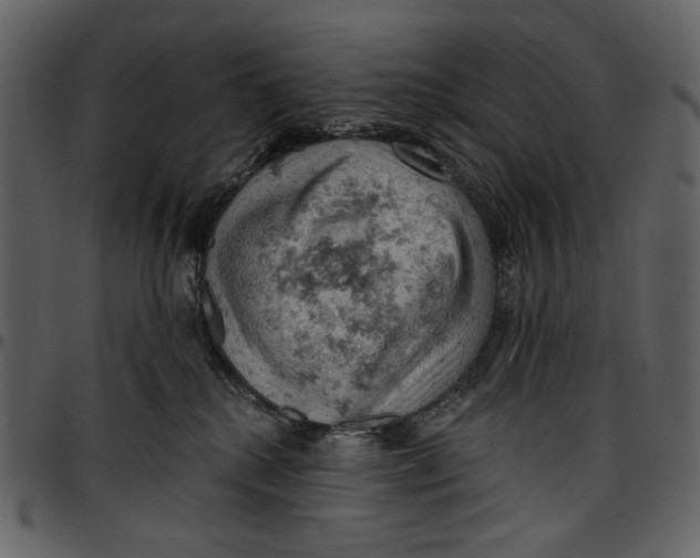 X0000096950280200802291104