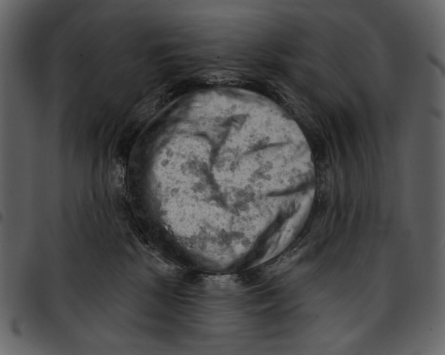 X0000096950281200802291104