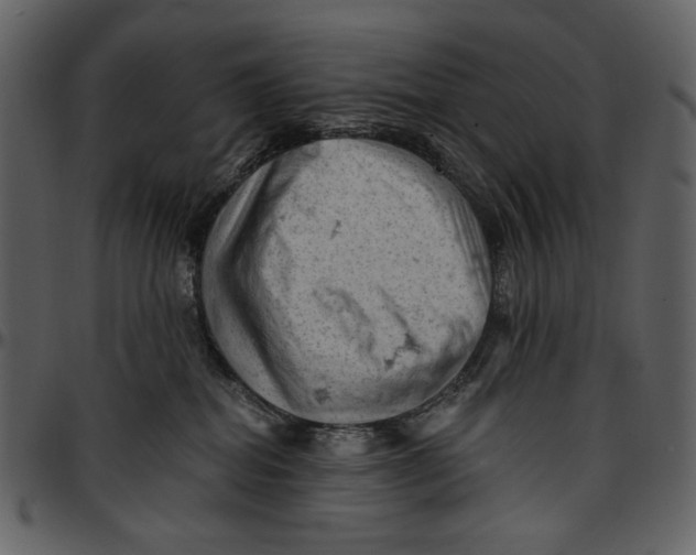 X0000096950282200802291104