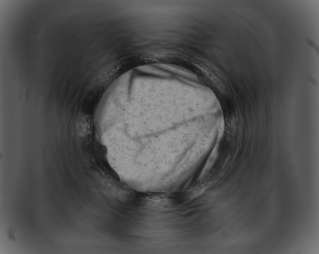 X0000096950284200802291104