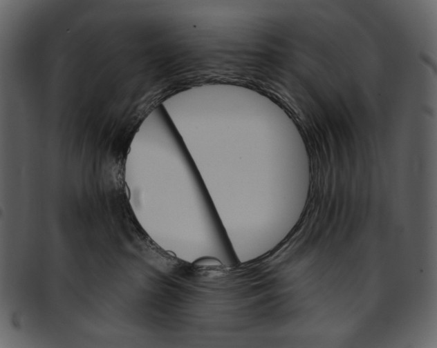 X0000096950285200802291104