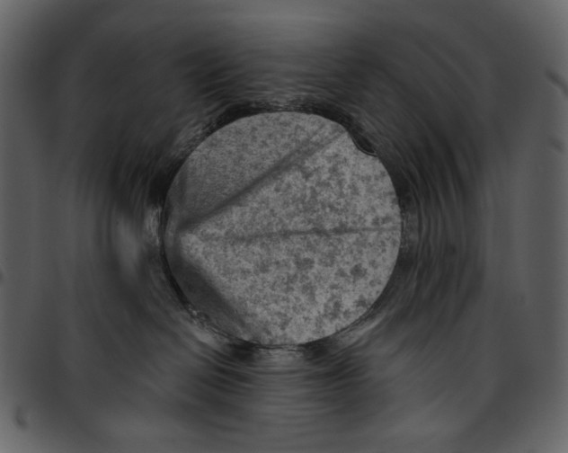 X0000096950286200802291104
