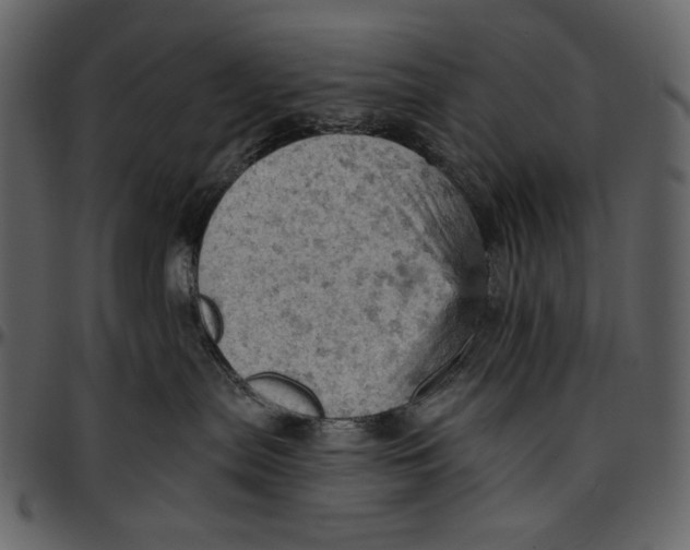 X0000096950287200802291104