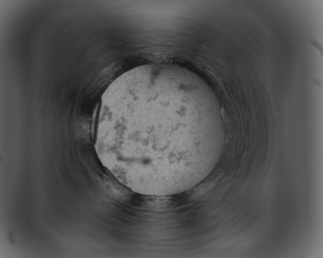 X0000096950288200802291104