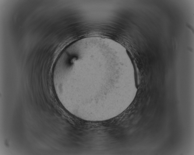 X0000096950289200802291103