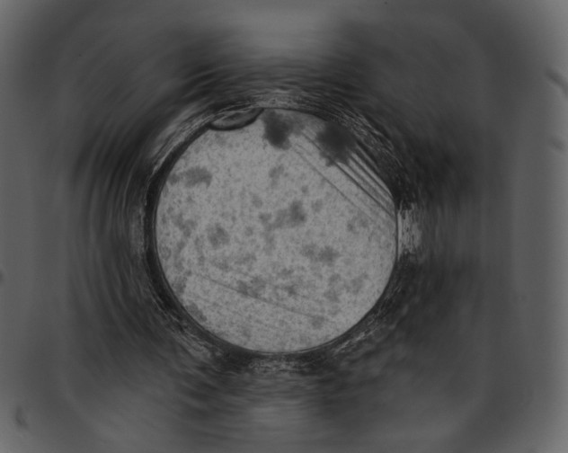 X0000096950291200802291103