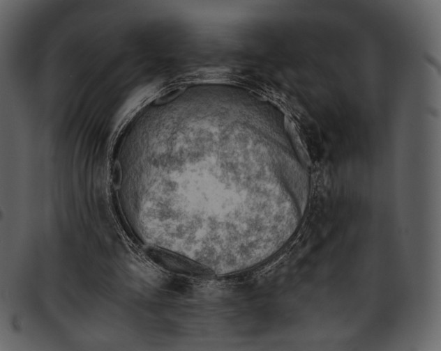 X0000096950293200802291103