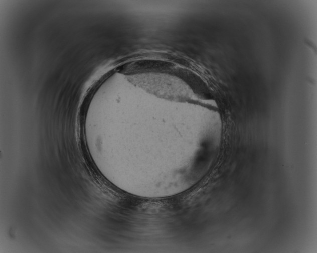 X0000096950294200802291103