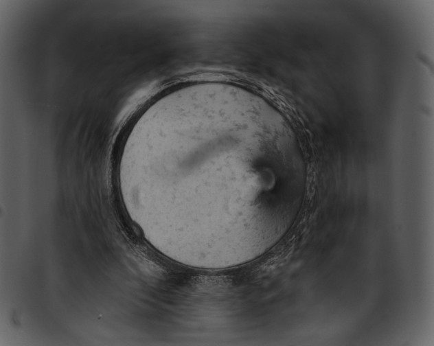 X0000096950296200802291103