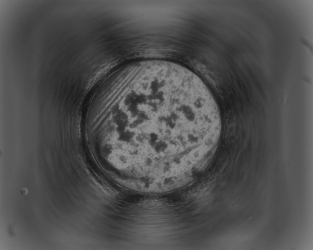 X0000096950299200802291103