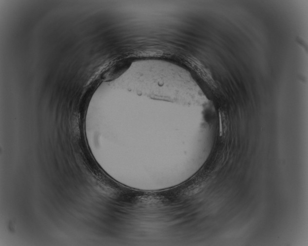 X0000096950300200802291103