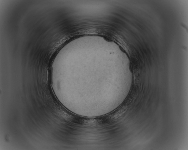 X0000096950301200802291103