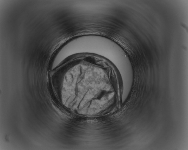 X0000096950302200802291103
