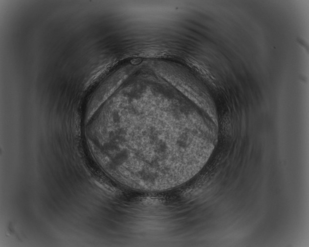 X0000096950303200802291103