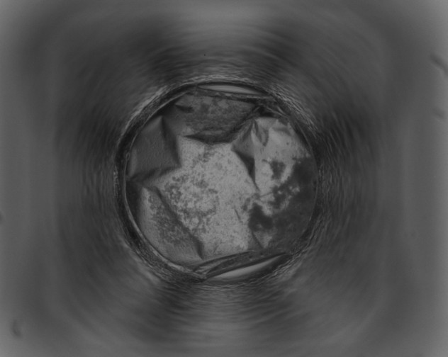 X0000096950304200802291103