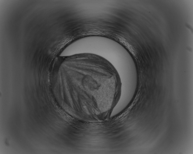 X0000096950305200802291103