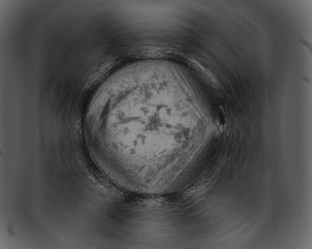 X0000096950306200802291103