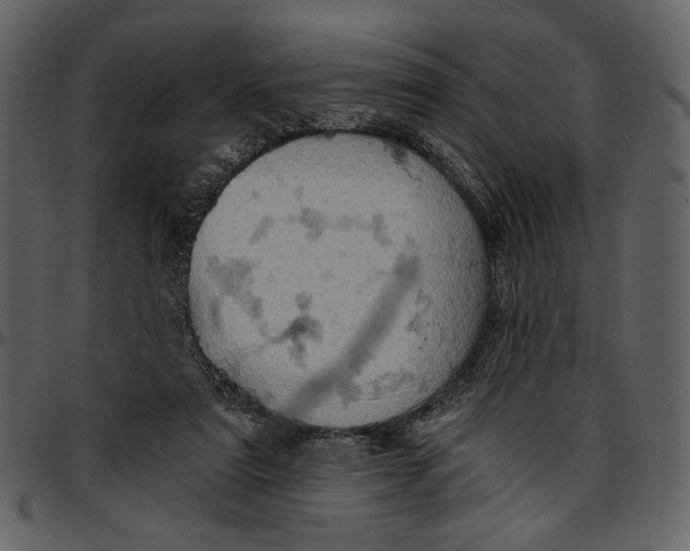 X0000096950307200802291103