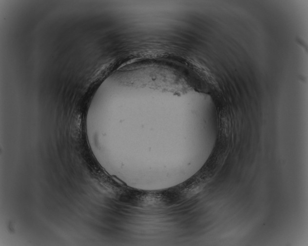 X0000096950308200802291103