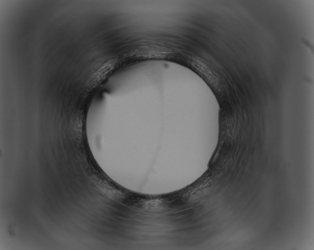 X0000096950309200802291103