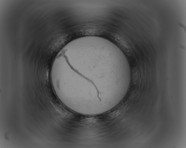 X0000096950310200802291103