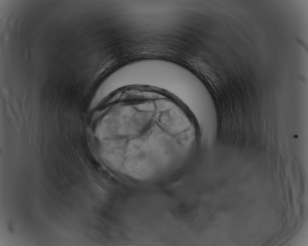 X0000096950312200802291103