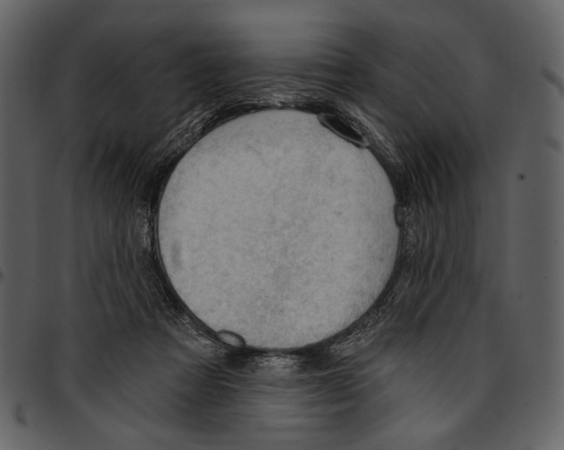 X0000096950313200802291103