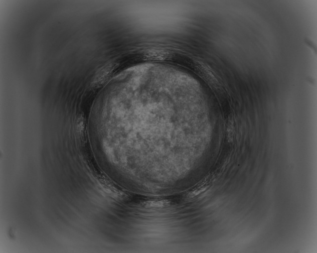 X0000096950314200802291103