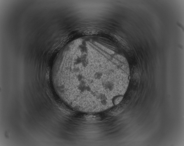 X0000096950315200802291103