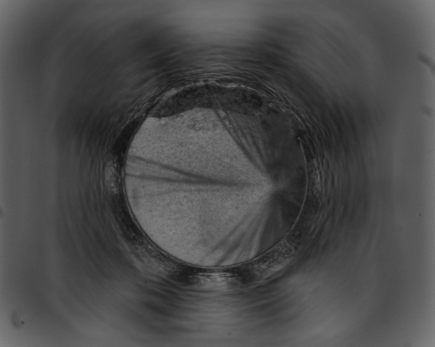 X0000096950316200802291103