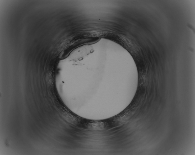 X0000096950317200802291103