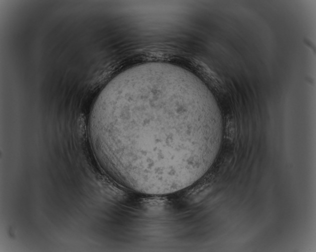 X0000096950318200802291103