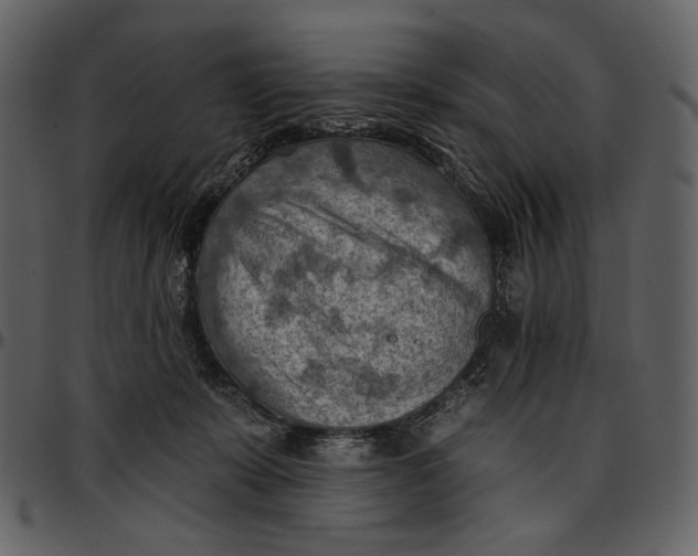 X0000096950319200802291103