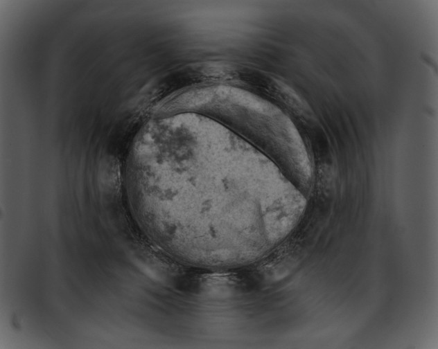 X0000096950320200802291103