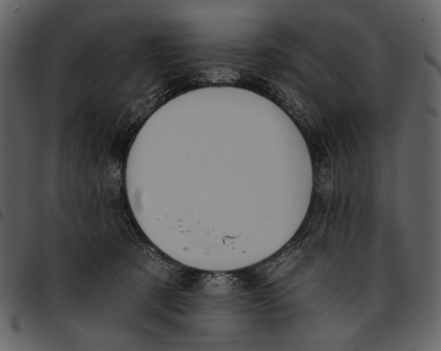 X0000096950321200802291103