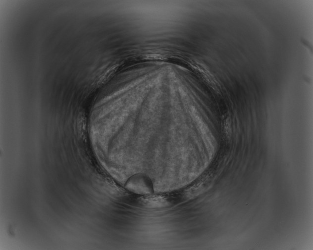 X0000096950322200802291103