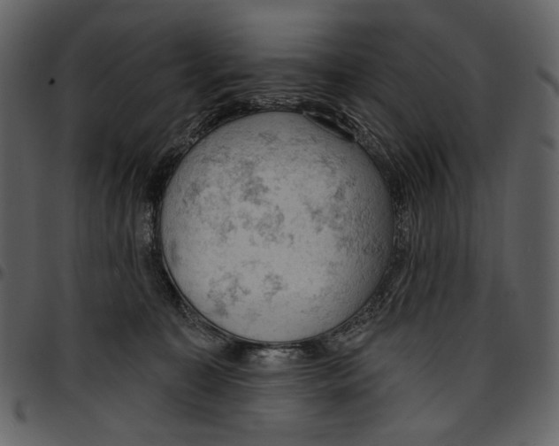 X0000096950323200802291103