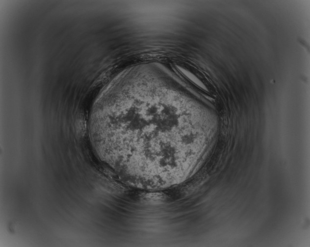 X0000096950324200802291103