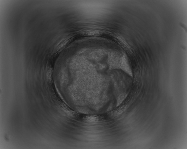 X0000096950325200802291102