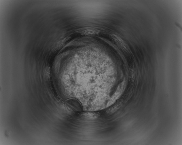 X0000096950326200802291102