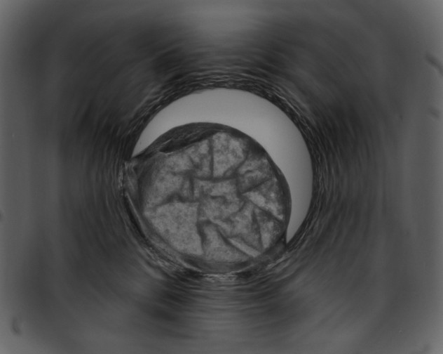 X0000096950328200802291102