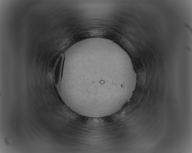 X0000096950329200802291102