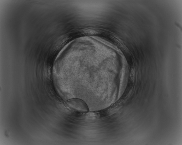 X0000096950330200802291102