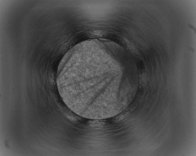 X0000096950331200802291102