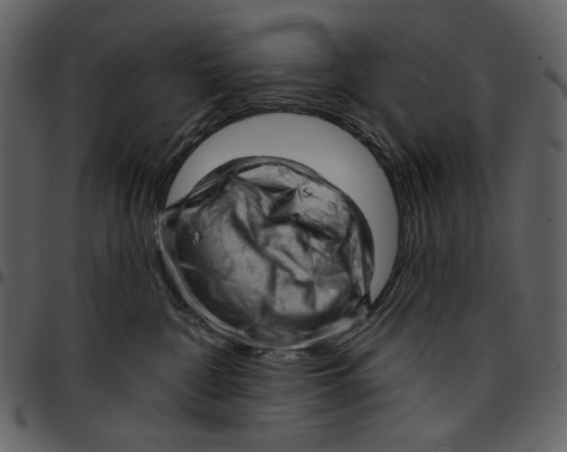 X0000096950332200802291102