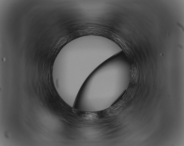 X0000096950333200802291102